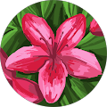 Carol's Profile Image