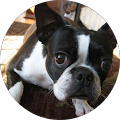 Mary Q's Profile Image