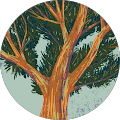 RYAN CODE's Profile Image