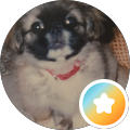 Odette McCourt's Profile Image