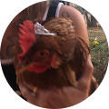 Profile Photo of Tera Dean