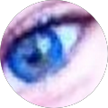 Profile Photo of Liran M