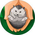 Jennifer Pidgeon's Profile Image
