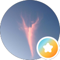 Shelley Rotramel's Profile Image