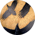 Walker R's Profile Image