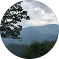 Susan Bonne's Profile Image
