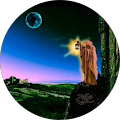 profile-photo