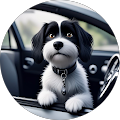 Bonnie Davis's Profile Image
