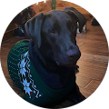 Vicki Anderson's Profile Image