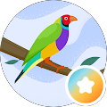 Profile Photo of Nanaiya Craft