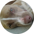 profile-photo