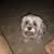 Larry Turner's Profile Image
