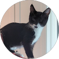 Shelly Cook's Profile Image