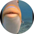 profile-photo