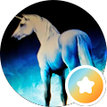 Donna Dodd S. user avatar