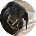 Profile Photo of Pam LaCasse