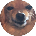 profile-photo