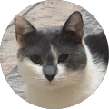 profile-photo
