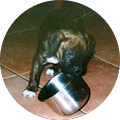 profile-photo
