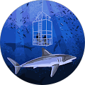 Robert Blandi's Profile Image