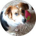 Madonna Pohlman's Profile Image