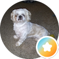 profile-photo