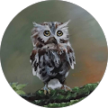 Profile Photo of Judy Kopp