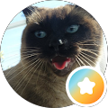 Deven Angel's Profile Image