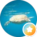 Jonathan Purow's Profile Image