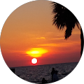 Tony Carvalho's Profile Image