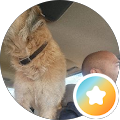 NIC ATENCIO's Profile Image