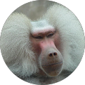 Mica Stettner's Profile Image