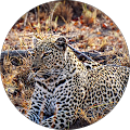 Dan Murphy's Profile Image