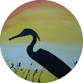 fishlanding's Profile Image