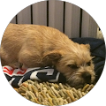Liz Fuselier's Profile Image
