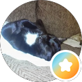 Richard Ball's Profile Image
