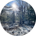 Andrew B's Profile Image