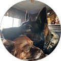 profile-photo