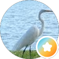 profile-photo