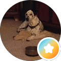 Laura Morrison's Profile Image