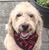 Jim Suhrstedt's Profile Image