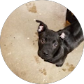 Jason Gibbons's Profile Image