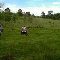 user-pic