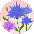 TD's Profile Image