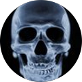Dwayne Hewatt's Profile Image