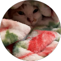 Profile Photo of Scarlet Suburbs