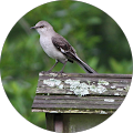 sue w's Profile Image