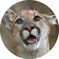 nhdjoseywales's Profile Image