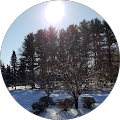 Elizabeth Saulsky's Profile Image