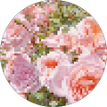 Anonymous Blossom